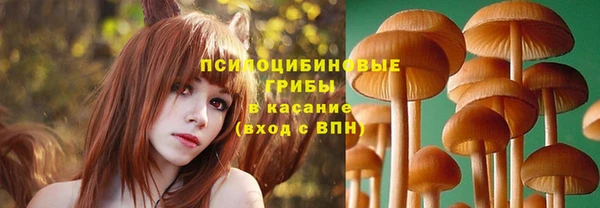 jwh Вяземский