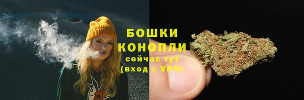 гидра Вязьма