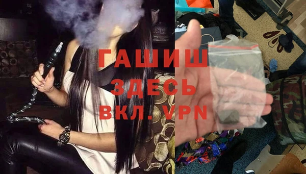 гидра Вязьма