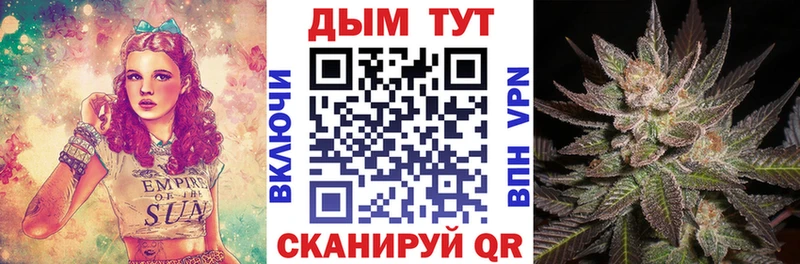 Конопля сатива  Кинель 